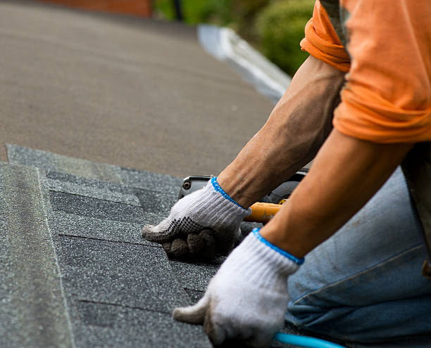 Best Storm Damage Roof Repair  in Circleville, OH